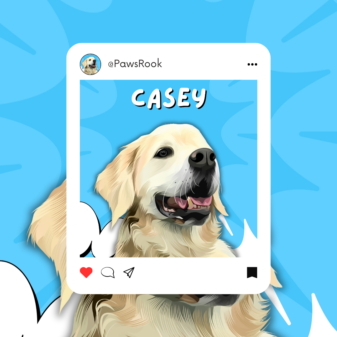 Modern Pet Portraits