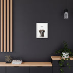 Modern Pet Potraits - Frame print - One Pet