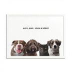 Modern Pet Portraits - Digital File Only - Four Pet